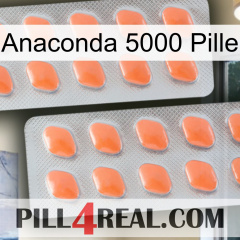 Anaconda 5000 Pill 27